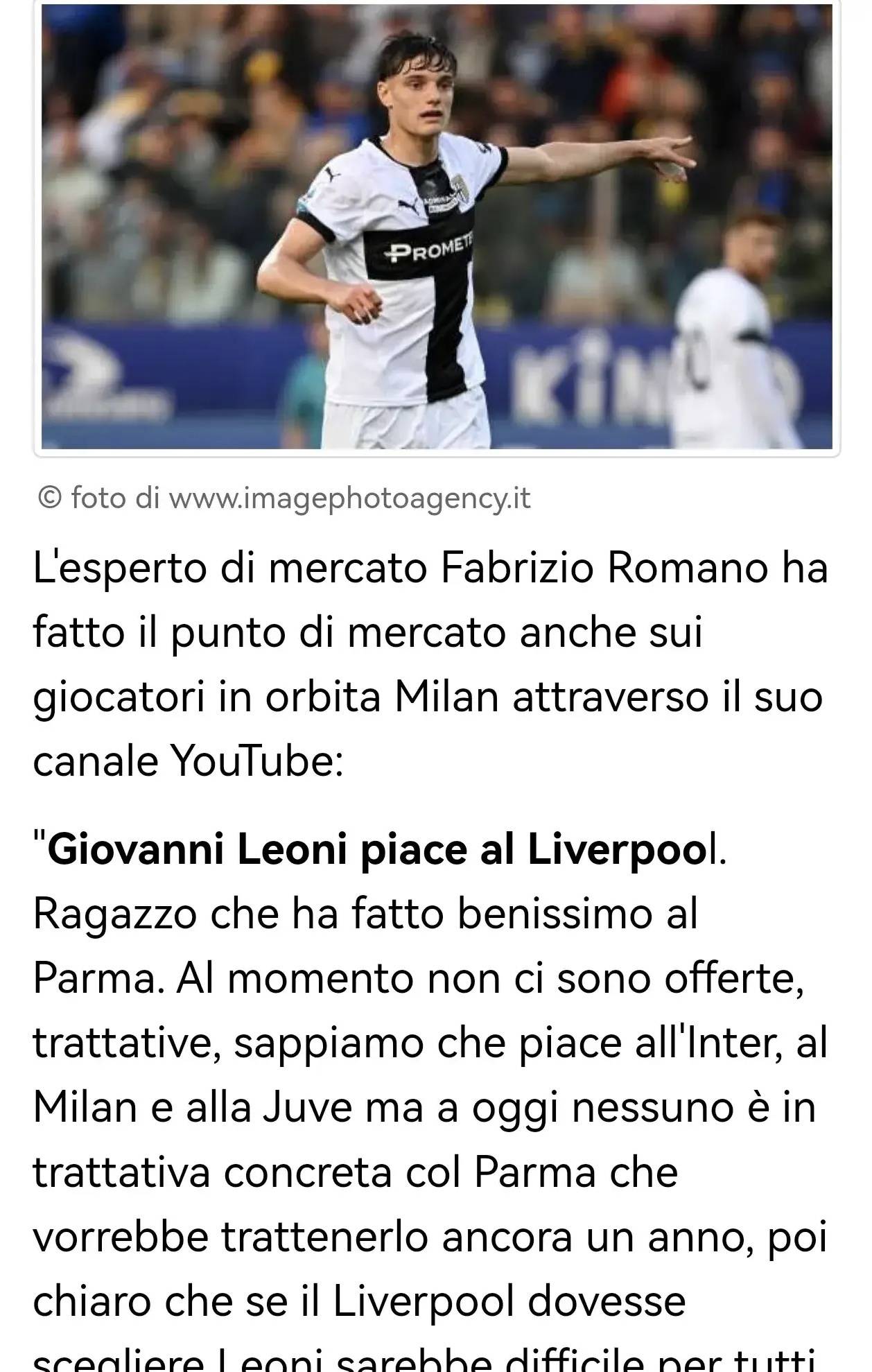 本届日本羽 本届日本羽