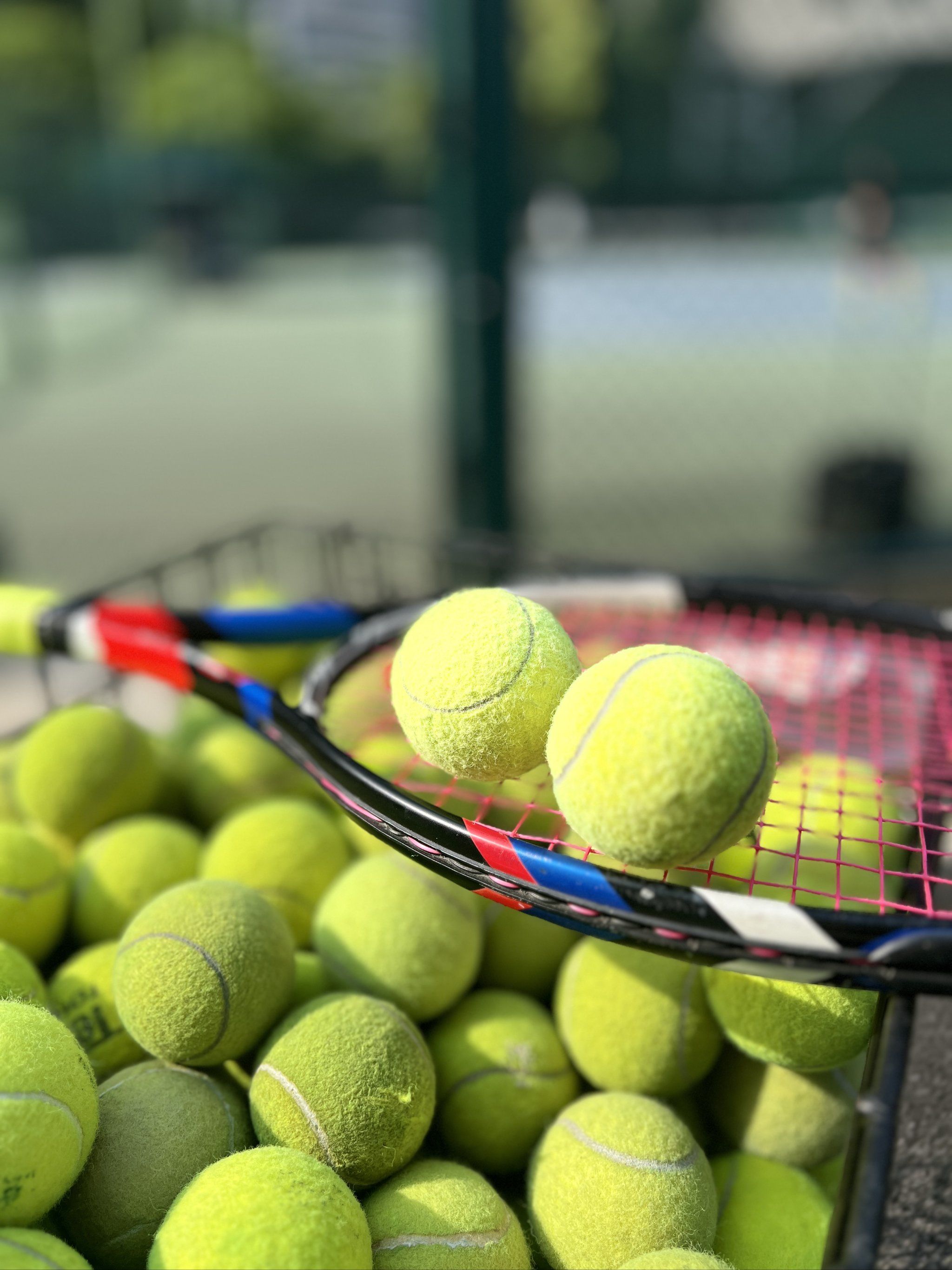 我们期待看 我们期待看