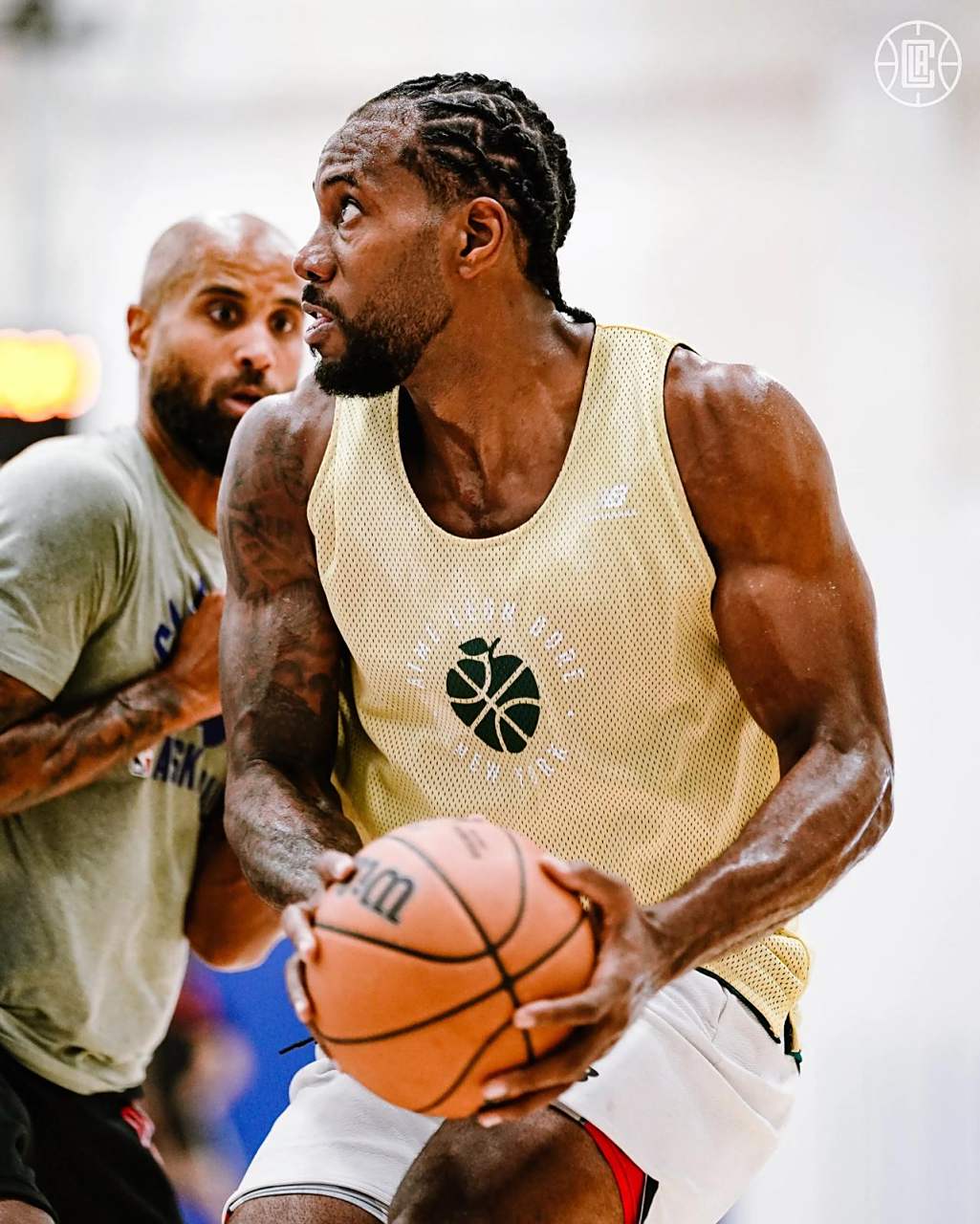 而非单纯K 而非单纯K