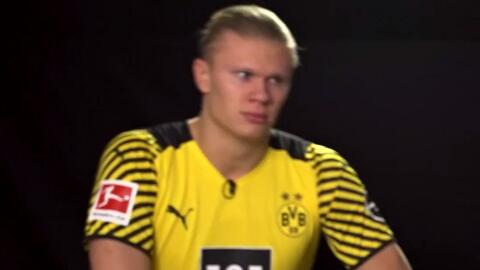 体系与更清 体系与更清