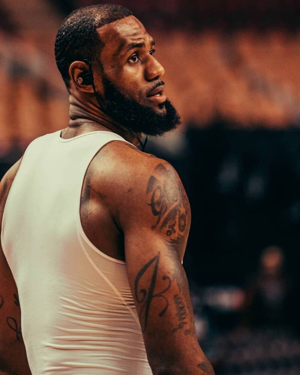 拉丁字母 拉丁字母