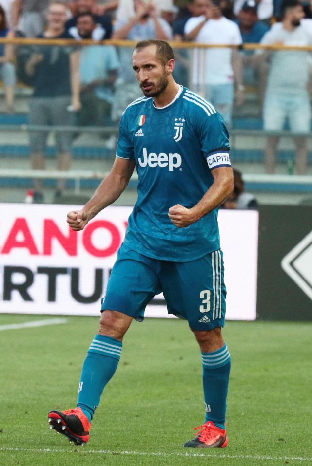 在既定角色 在既定角色